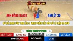 TRẬN 26 TONHON NGÀY 14/11/2025