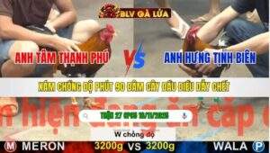 TRẬN 27 CPC5 NGÀY 16/11/2025