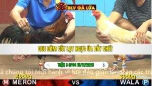 TRẬN 3 CPC4 NGÀY 15/11/2025