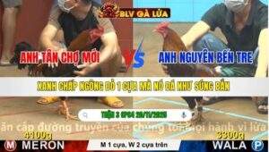 TRẬN 3 CPC4 NGÀY 20/11/2025