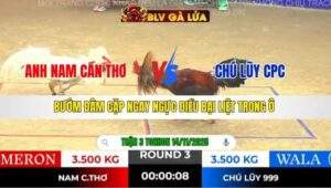 TRẬN 3 TONHON NGÀY 14/11/2025