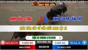 TRẬN 30 TONHON NGÀY 2/11/2025