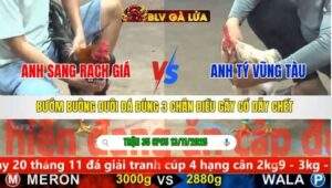 TRẬN 35 CPC5 NGÀY 13/11/2025