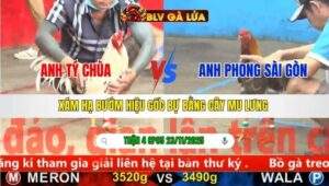 TRẬN 4 CPC5 NGÀY 23/11/2025