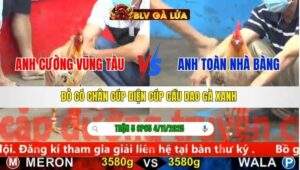 TRẬN 5 CPC5 NGÀY 4/11/2025