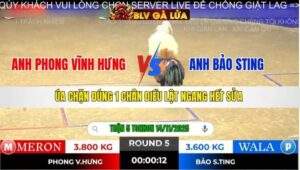 TRẬN 5 TONHON NGÀY 14/11/2025