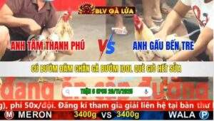 TRẬN 6 CPC5 NGÀY 20/11/2025