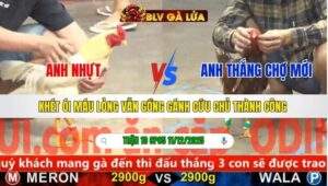 TRẬN 10 CPC5 NGÀY 11/12/2025