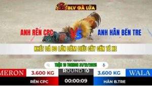 TRẬN 10 TONHON NGÀY 31/12/2025