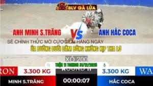 TRẬN 11 TONHON NGÀY 31/12/2025