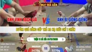 TRẬN 11 XÀ XÍA NGÀY 31/12/2025