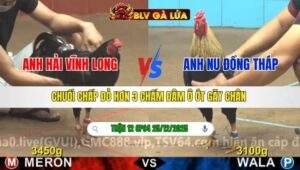 TRẬN 12 CPC4 NGÀY 25/12/2025