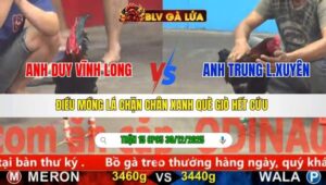 TRẬN 15 CPC5 NGÀY 30/12/2025