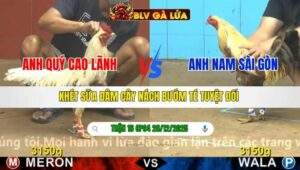 TRẬN 16 CPC4 NGÀY 26/12/2025