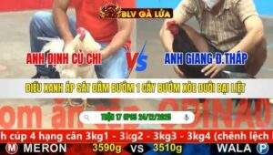 TRẬN 17 CPC5 NGÀY 24/12/2025