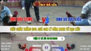 TRẬN 17 XÀ XÍA NGÀY 19/12/2025