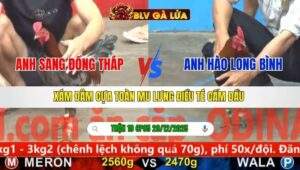 TRẬN 19 CPC5 NGÀY 29/12/2025