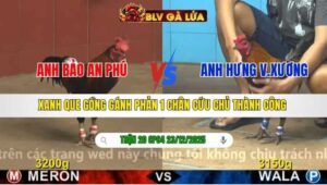 TRẬN 20 CPC4 NGÀY 23/12/2025