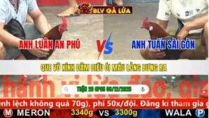 TRẬN 20 CPC5 NGÀY 8/12/2025