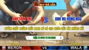 TRẬN 21 CPC4 NGÀY 17/12/2025