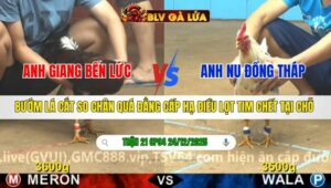 TRẬN 21 CPC4 NGÀY 24/12/2025