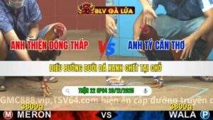 TRẬN 22 CPC4 NGÀY 29/12/2025