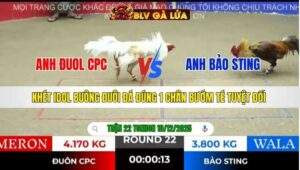 TRẬN 22 TONHON NGÀY 10/12/2025
