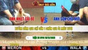 TRẬN 25 CPC4 NGÀY 15/12/2025