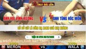 TRẬN 25 CPC4 NGÀY 5/12/2025