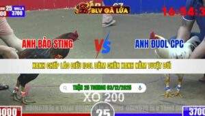 TRẬN 25 TONHON NGÀY 3/12/2025