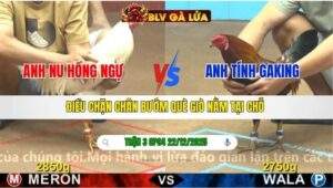 TRẬN 3 CPC4 NGÀY 22/12/2025