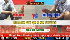 TRẬN 32 CPC5 NGÀY 29/12/2025