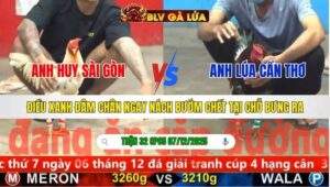 TRẬN 32 CPC5 NGÀY 7/12/2025