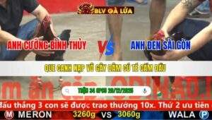 TRẬN 34 CPC5 NGÀY 20/12/2025