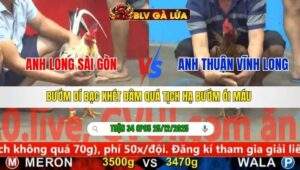 TRẬN 34 CPC5 NGÀY 25/12/2025