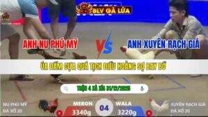 TRẬN 4 XÀ XÍA NGÀY 31/12/2025