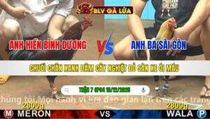 TRẬN 7 CPC4 NGÀY 18/12/2025