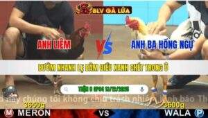 TRẬN 8 CPC4 NGÀY 13/12/2025