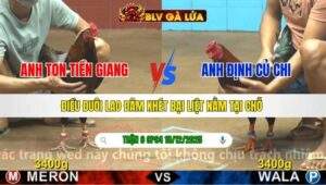 TRẬN 9 CPC4 NGÀY 18/12/2025