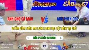 TRẬN 17 XÀ XÍA NGÀY 10/1/2026