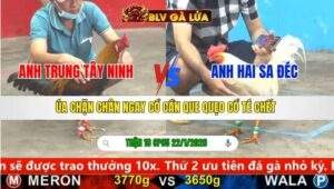 TRẬN 18 CPC5 NGÀY 22/1/2026
