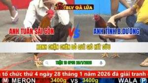 TRẬN 19 CPC5 NGÀY 28/1/2026