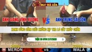 TRẬN 20 CPC4 NGÀY 2/1/2026