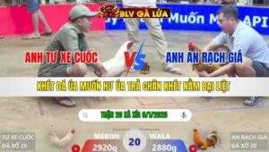 TRẬN 20 XÀ XÍA NGÀY 9/1/2026