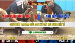 TRẬN 22 CPC4 NGÀY 2/1/2026