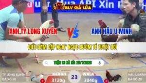 TRẬN 23 XÀ XÍA NGÀY 25/1/2026