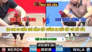 TRẬN 26 CPC3 NGÀY 4/1/2026