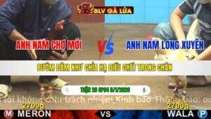 TRẬN 28 CPC4 NGÀY 5/1/2026