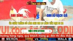 TRẬN 3 CPC5 NGÀY 6/1/2026