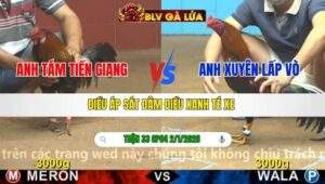 TRẬN 33 CPC4 NGÀY 2/1/2026